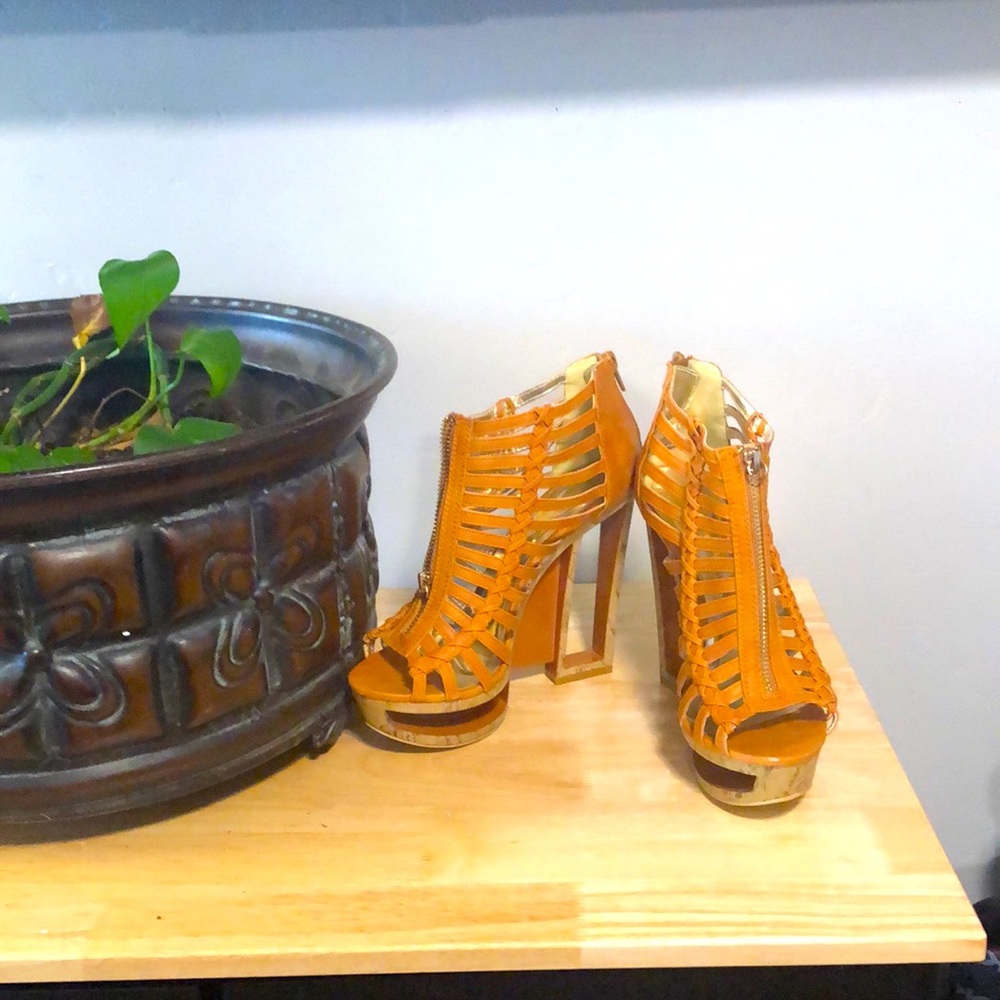 Liliana Platform Wedge Sandals